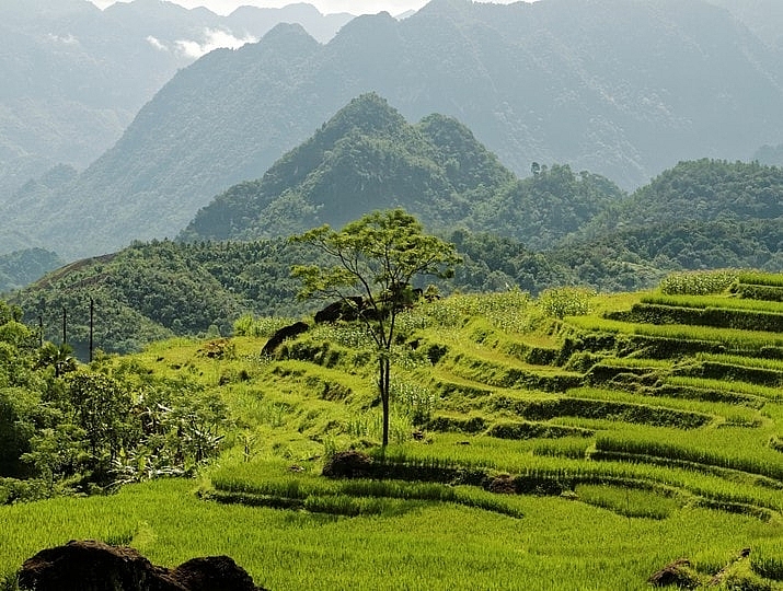 Pù Luông trong tiếng Thái là đỉnh núi cao nhất. Khu bảo tồn thiên nhiên Pù Luông thuộc hai huyện Bá Thước và Quan Hóa, Thanh Hóa có diện tích hơn 17.600 ha cùng hệ động thực vật phong phú. Với vẻ đẹp hoang sơ của rừng nhiệt đới, nơi đây là một trong những điểm du lịch Tây Bắc thu hút được rất nhiều bạn trẻ.